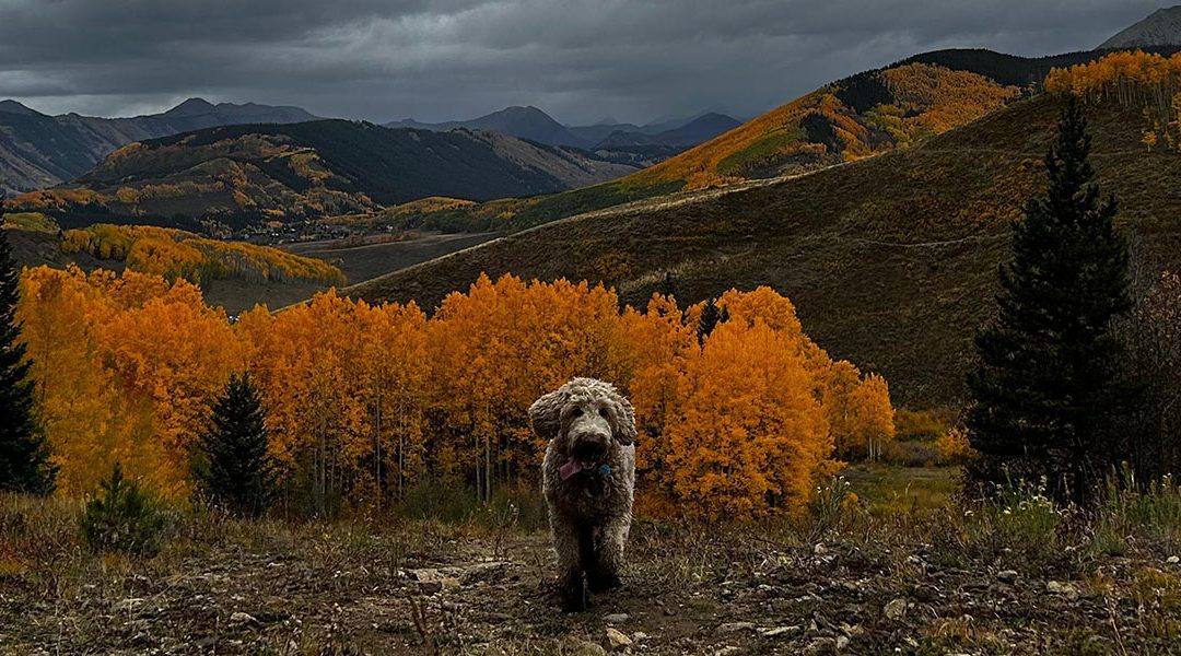 The Art of Doing Nothing