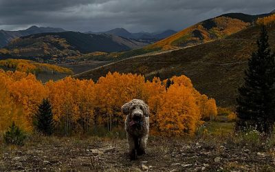 The Art of Doing Nothing