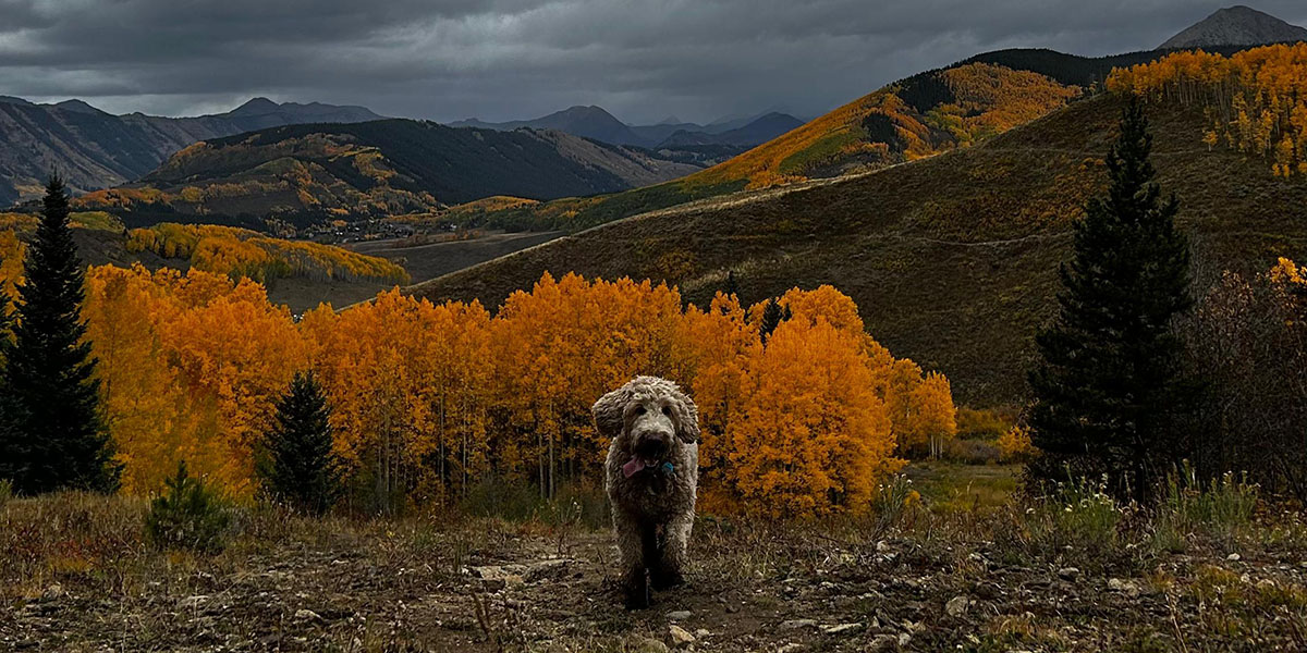 The Art of Doing Nothing